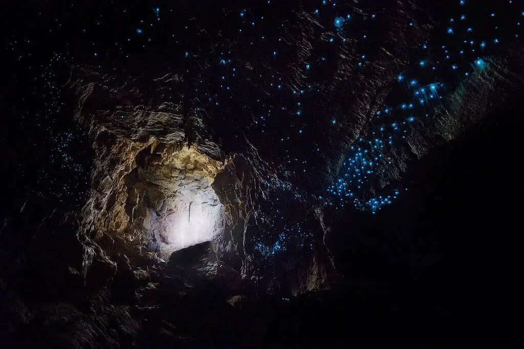 Waitomo Cave