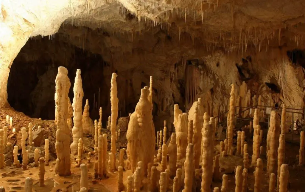 Cave stalagmites